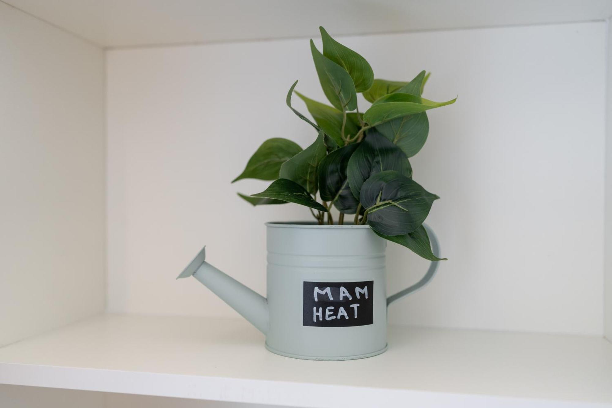 Mam Heat Apartments - Viana City Centre Viana do Castelo Zewnętrze zdjęcie